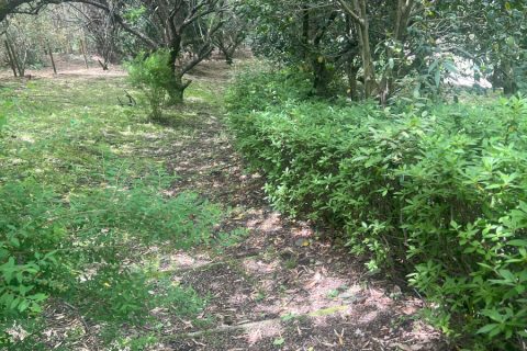 運動公園