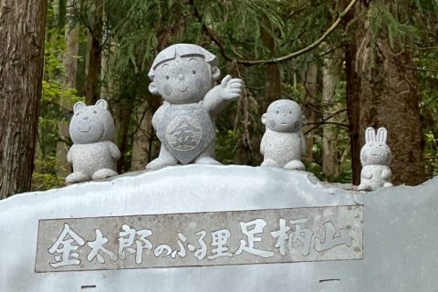 金太郎と仲間たち