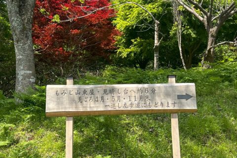 もみじ山看板