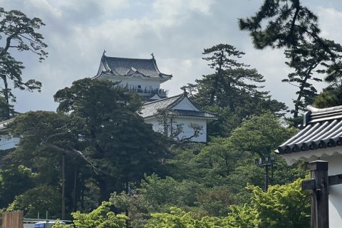 木々に囲まれた天守閣