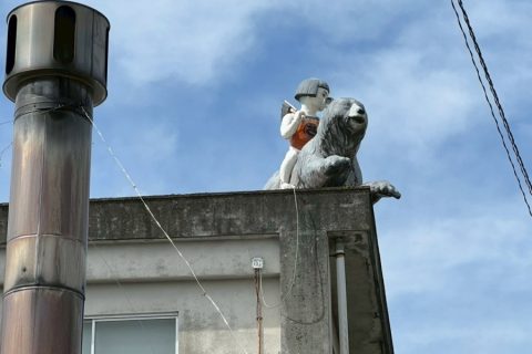 こんな所にも金太郎