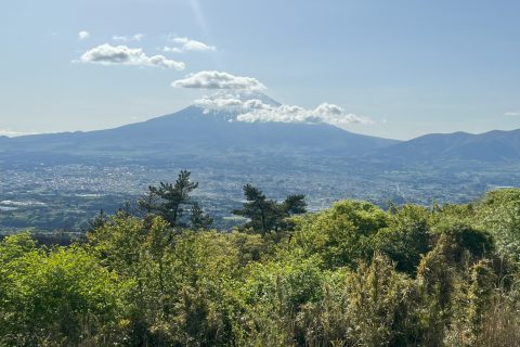 足柄城址から富士山
